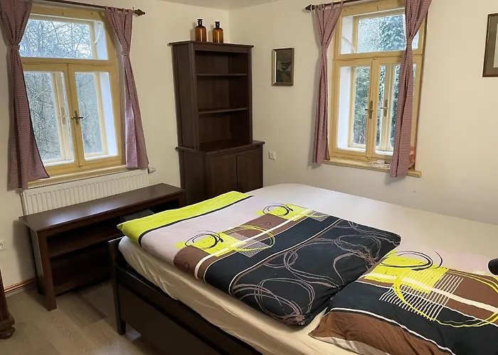 Hlinne V Orlickych Horach Lägenhet *